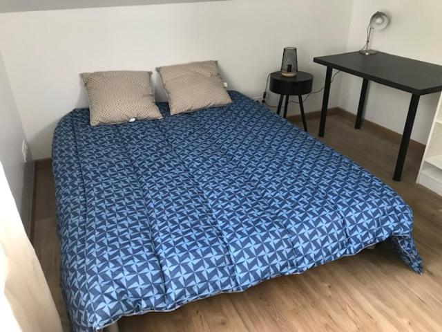 Logement T2-Rue-Maisonnette Sncf-Amboise Dış mekan fotoğraf